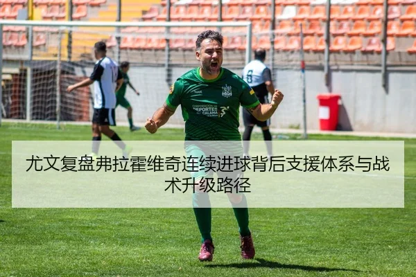 尤文复盘弗拉霍维奇连续进球背后支援体系与战术升级路径